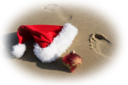 Weihnachtsstoffe abgewogen ab 0,25 kg 