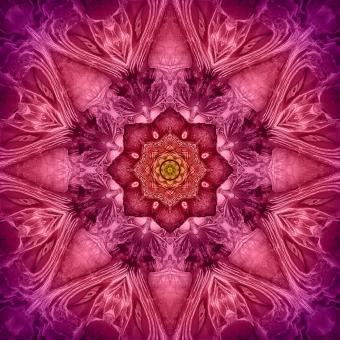Fuchsia Dream Big Kaleidoscope Panel