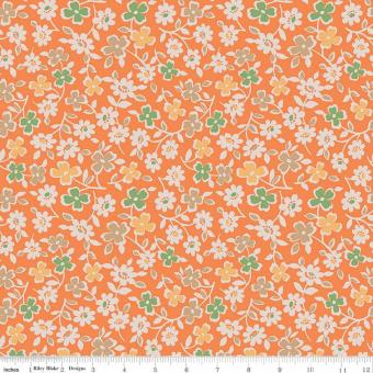 Wide Back Autumn Cosmos Pumpkin 