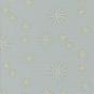 morepic-1