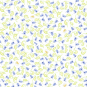 morepic-1