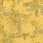 morepic-1