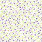 morepic-1