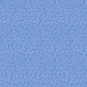 morepic-1