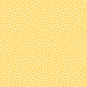morepic-1