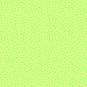 morepic-1