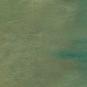 morepic-2