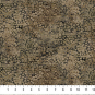 morepic-2