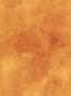 morepic-3